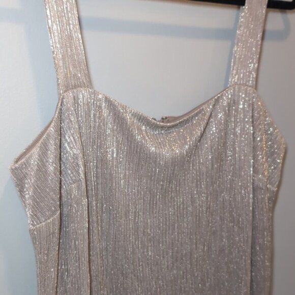 Laura Plus Shimmery Metallic Formal Dress Sleeveless Stretchy Champagne Wedding - Picture 3 of 11